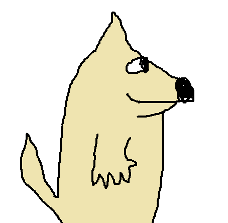 犬